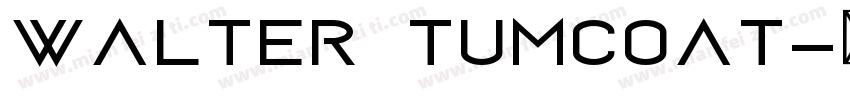 walter tumcoat字体转换